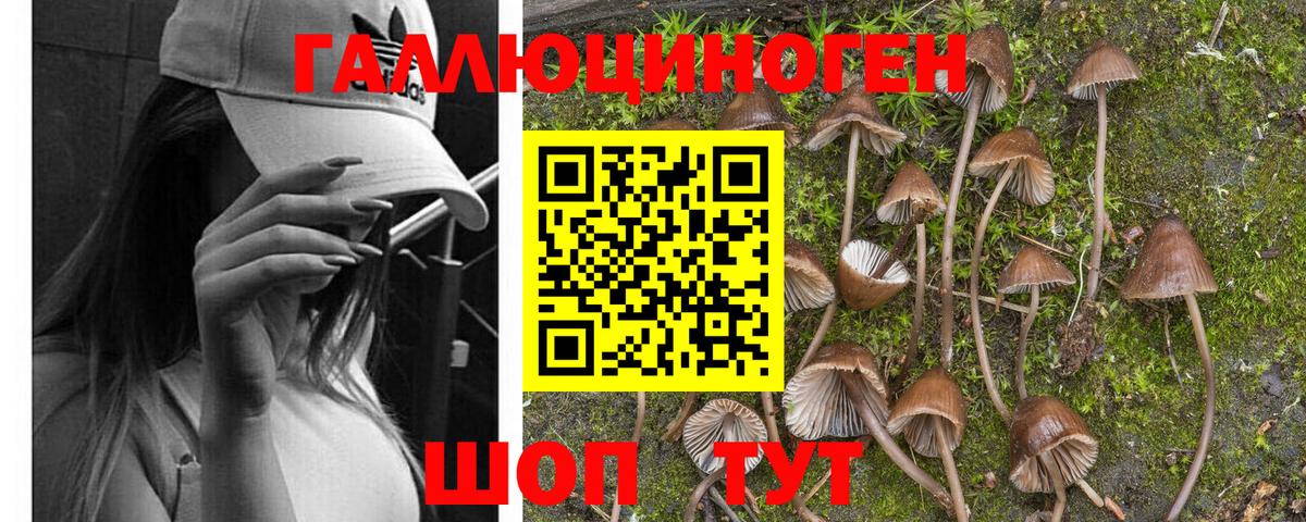 Галлюциногенные грибы Psilocybine cubensis  Псилоцибиновые грибы Psilocybe  Каспийск  Вход с VPN 